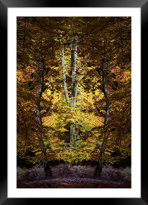 Autumn Jewel Framed Mounted Print by Ann Garrett
