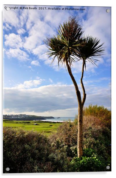 Fistral Palm  Acrylic by Rob Booth