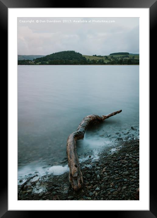 Bala Lake Driftwood Framed Mounted Print by Dan Davidson