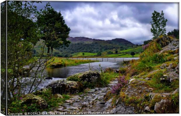 "Footpath by the Lake" Canvas Print by ROS RIDLEY