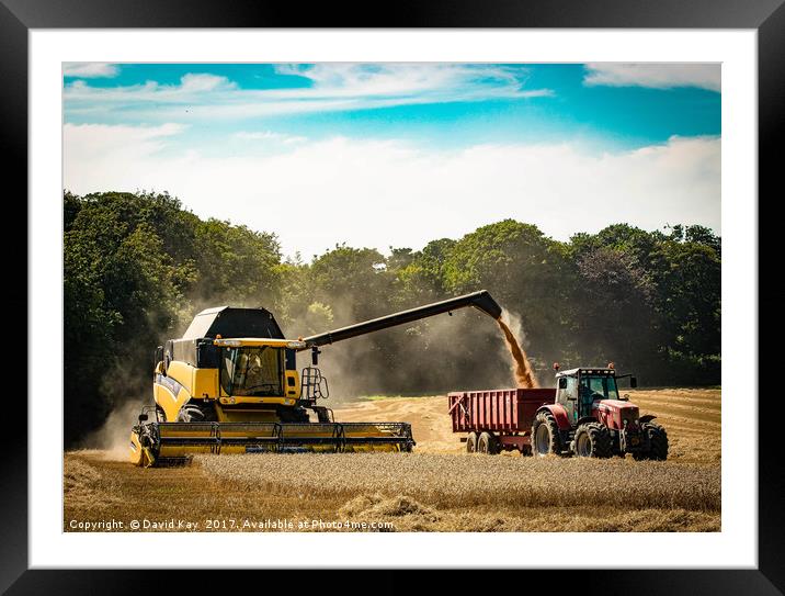 Harvest time Framed Mounted Print by David Kay