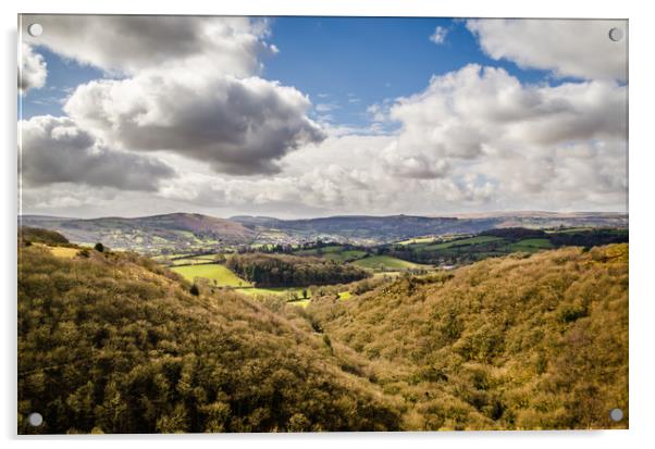 Dartmoor hills and valleys Acrylic by Alf Damp