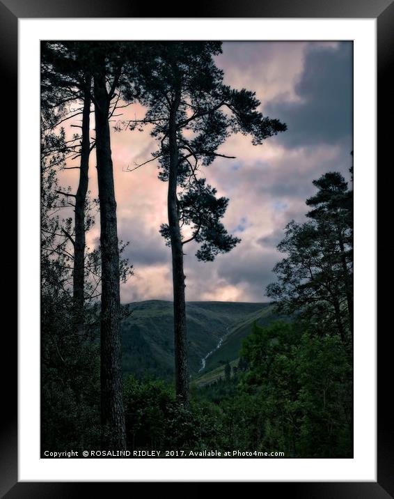 "Evening light in the lakes" Framed Mounted Print by ROS RIDLEY