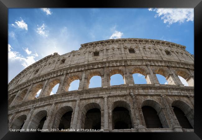 The Colosseum Rome Framed Print by Ann Garrett