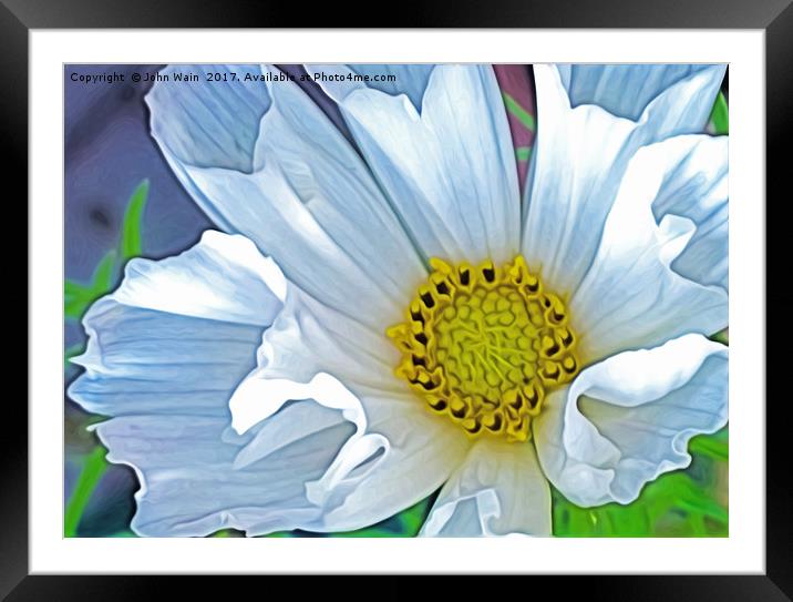 Cosmos Hummingbird white (Digital Art) Framed Mounted Print by John Wain