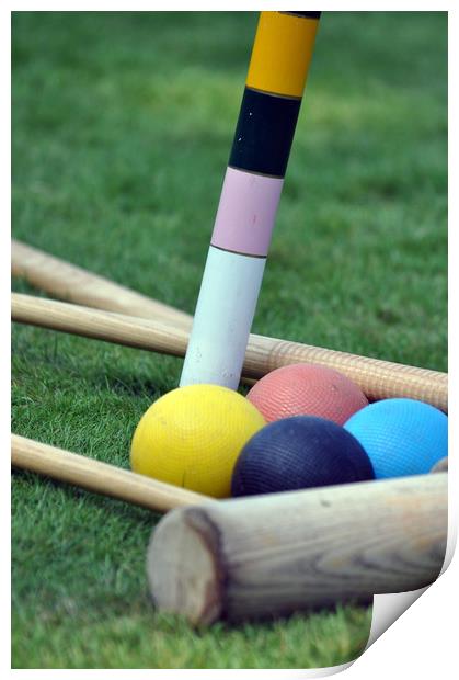 Croquet on the Lawn Print by Robin Lodge