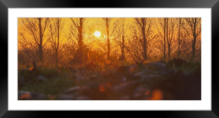 autumn sunset  Framed Mounted Print by kevin murch