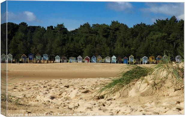 Beach Huts at Wells next the Sea, Norfolk  Canvas Print by Sally Lloyd