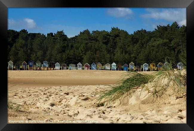 Beach Huts at Wells next the Sea, Norfolk  Framed Print by Sally Lloyd