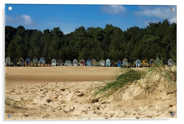 Beach Huts at Wells next the Sea, Norfolk  Acrylic by Sally Lloyd