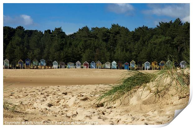 Beach Huts at Wells next the Sea, Norfolk  Print by Sally Lloyd