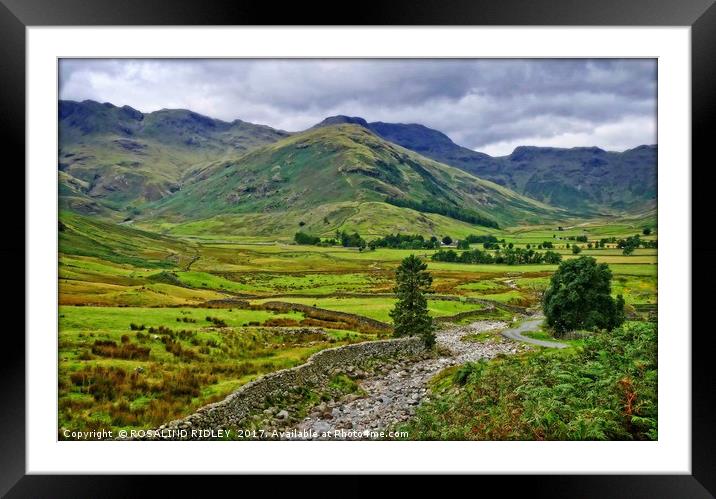 "Pathway through the mountains" Framed Mounted Print by ROS RIDLEY