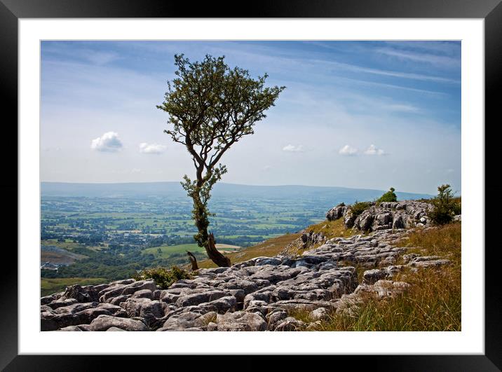 View from the edge of the scar Framed Mounted Print by David McCulloch