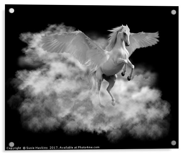 Flight of Pegasus Acrylic by Susie Hawkins