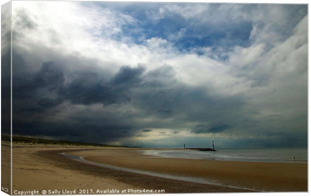 Storm Coming In Canvas Print by Sally Lloyd