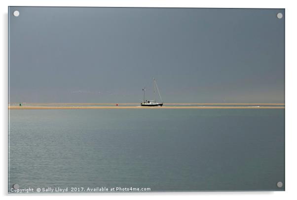 Sailboat with seagulls trailing. Acrylic by Sally Lloyd