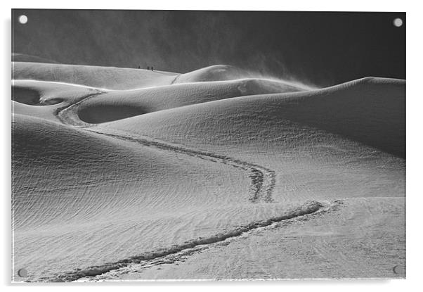 Snow Dunes Acrylic by Neil Gavin