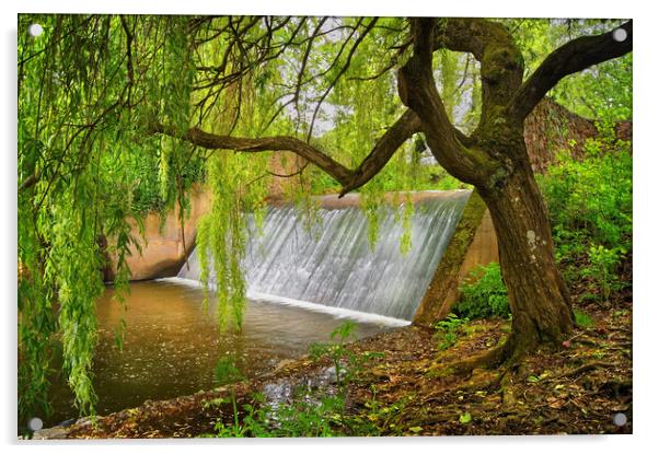 River Sid Falls                     Acrylic by Darren Galpin