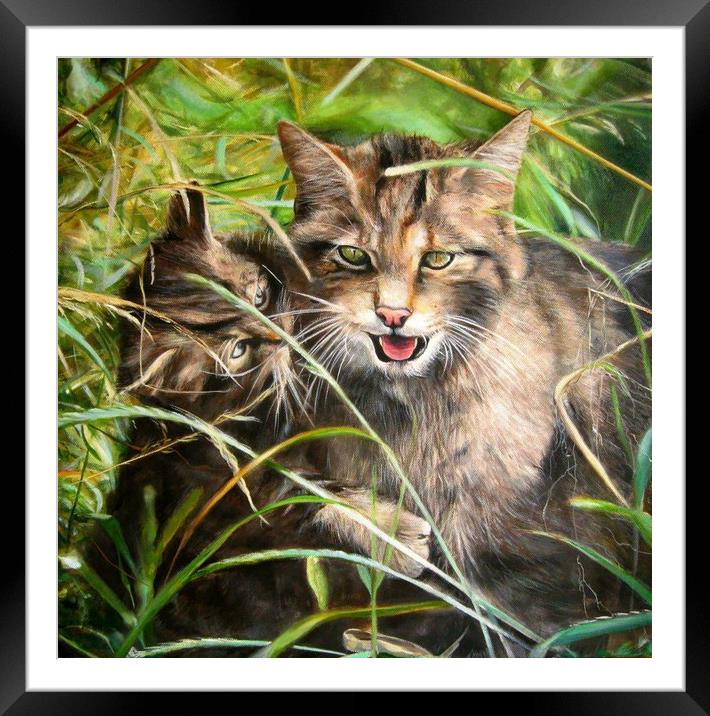 Scottish Wildcats  Framed Mounted Print by David Reeves - Payne