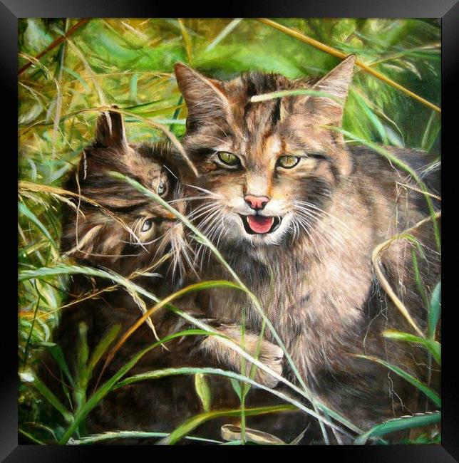 Scottish Wildcats  Framed Print by David Reeves - Payne