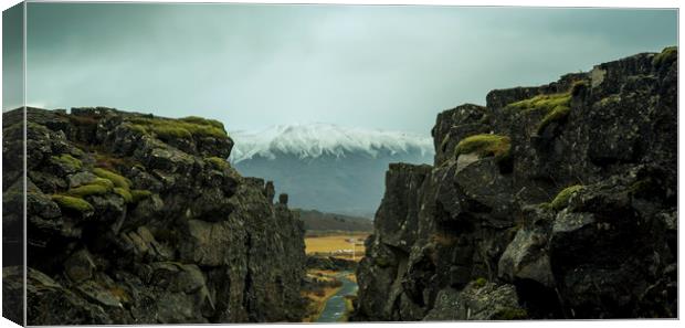A fissure in Iceland National Park Canvas Print by Nick Sayce