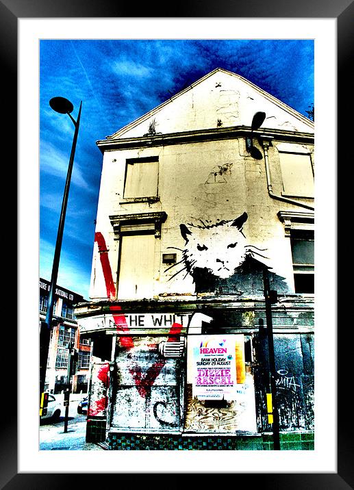 Liverpool Banksy Framed Mounted Print by Neil Gavin