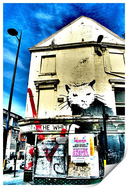 Liverpool Banksy Print by Neil Gavin