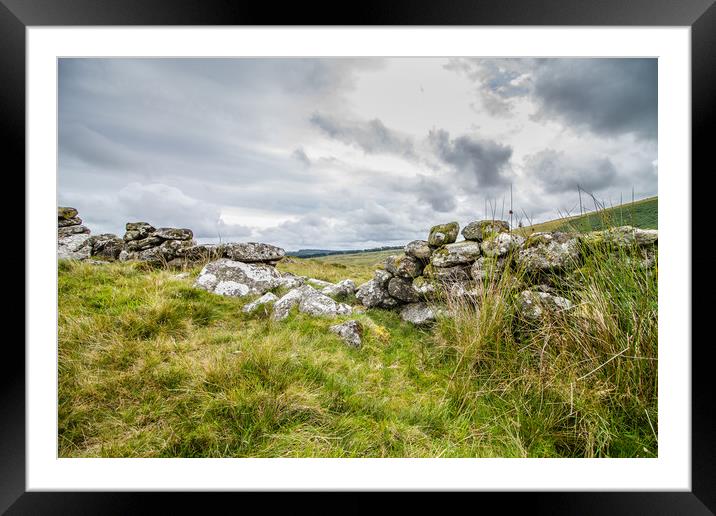 Devon stone wall Framed Mounted Print by Images of Devon