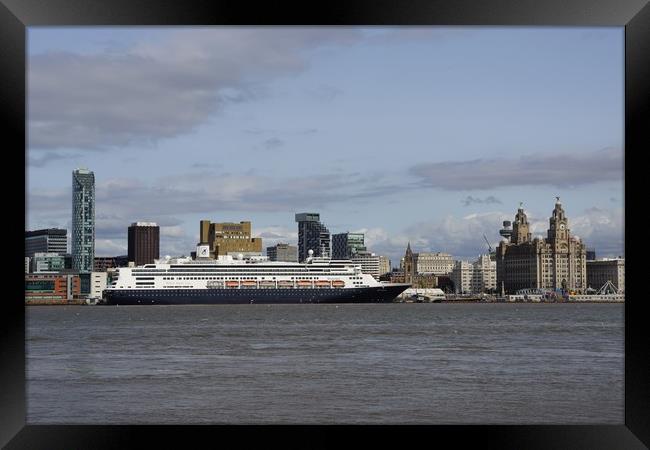 The ....     Rotterdam    - Holland America Line C Framed Print by Alexander Pemberton