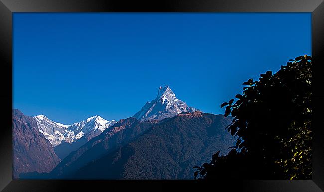 Mount Fishtail Framed Print by Ambir Tolang