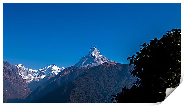 Mount Fishtail Print by Ambir Tolang