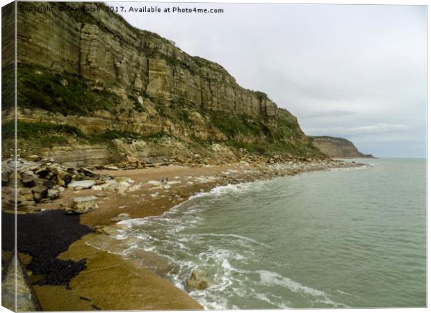 The Cliffs at Rock a Nore Hastings Canvas Print by Lee Sulsh
