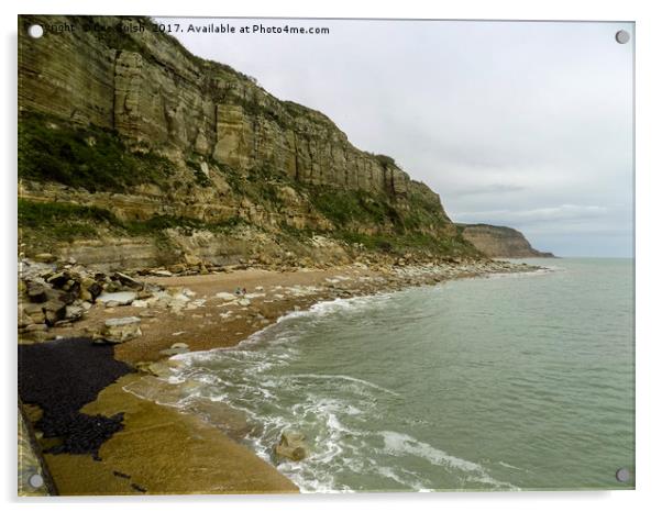 The Cliffs at Rock a Nore Hastings Acrylic by Lee Sulsh