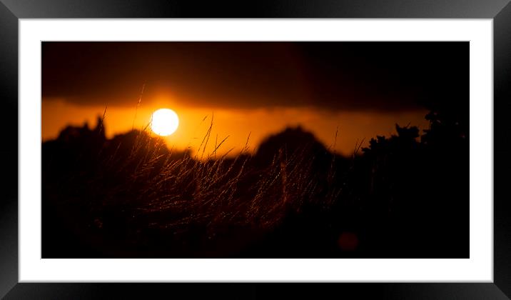 The sun shining over Mersea Framed Mounted Print by Nick Sayce