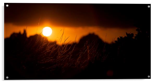 The sun shining over Mersea Acrylic by Nick Sayce