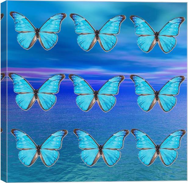 Blue Butterflies Canvas Print by Matthew Lacey