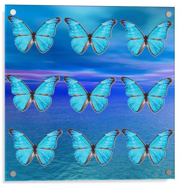 Blue Butterflies Acrylic by Matthew Lacey