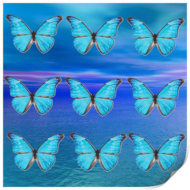 Blue Butterflies Print by Matthew Lacey