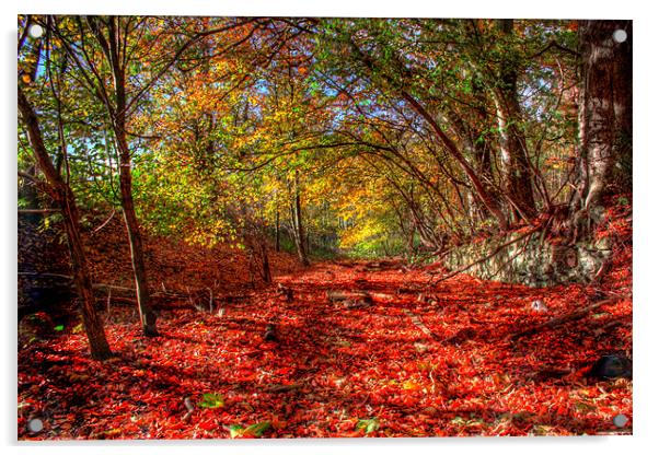 Autumn woodland Acrylic by Gavin Liddle