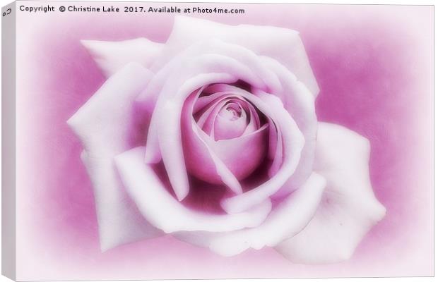 Lavender Mood Canvas Print by Christine Lake