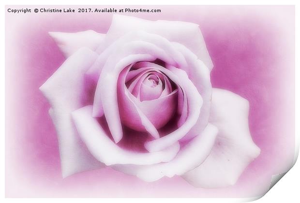 Lavender Mood Print by Christine Lake