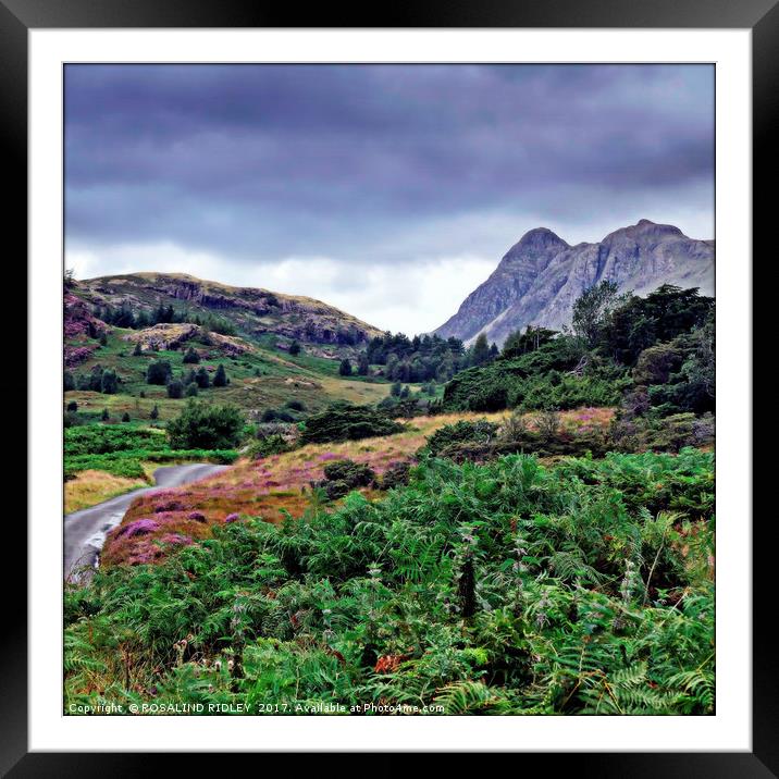 "Pathway to the Pikes" Framed Mounted Print by ROS RIDLEY