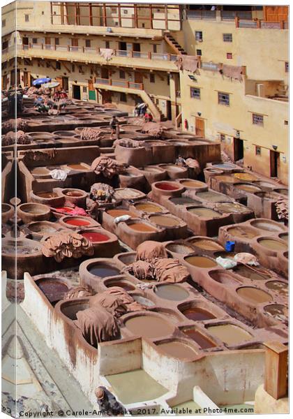 Leather Tannery in Fes Canvas Print by Carole-Anne Fooks