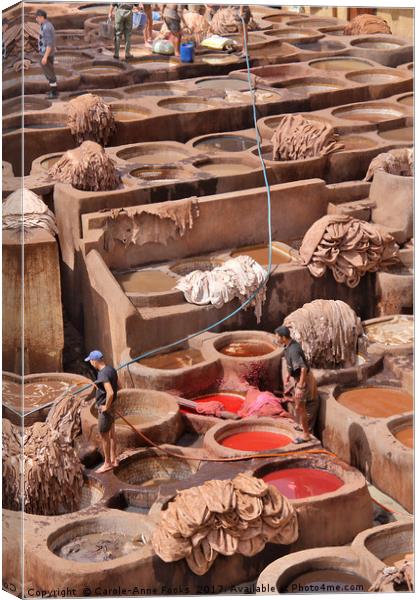 Leather Tannery in Fes Canvas Print by Carole-Anne Fooks