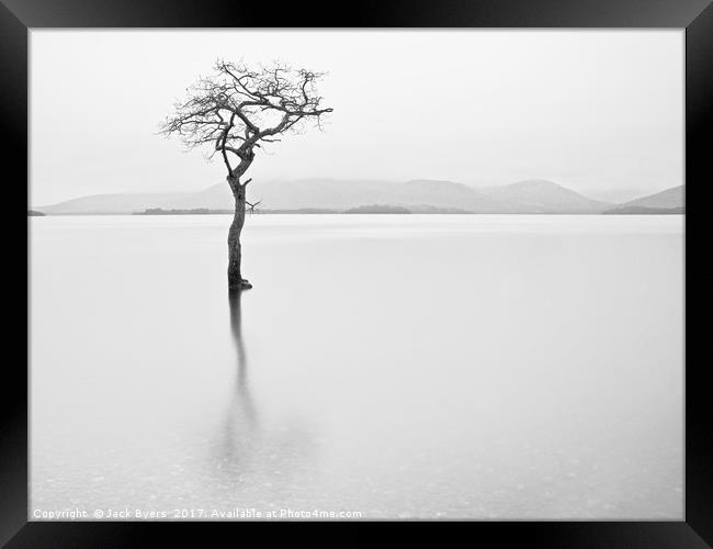 Lonley Tree Framed Print by Jack Byers