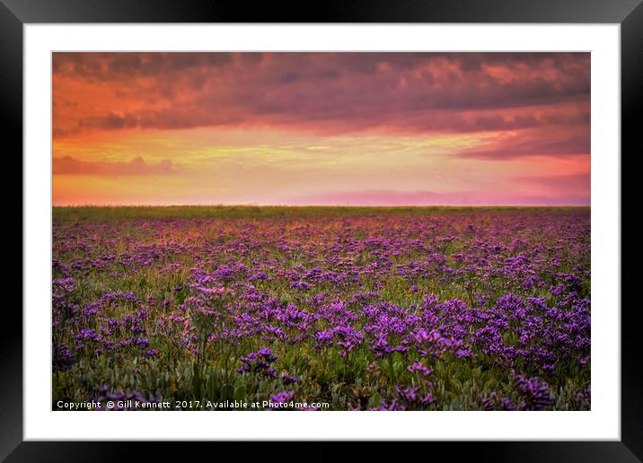 Sea Lavender Sunrise Framed Mounted Print by GILL KENNETT