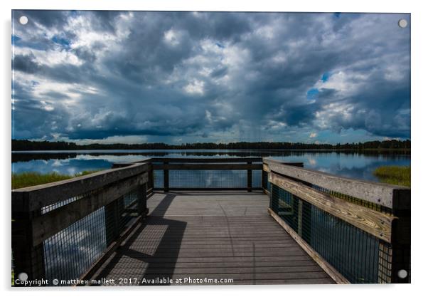 Dixie Lake At Lake Louisa Florida Acrylic by matthew  mallett