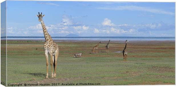 Giraffe standing tall by Lake Manyara Canvas Print by Hannah Hopton