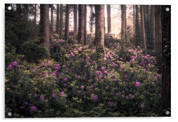 Woodland Bloom Acrylic by Chris Frost