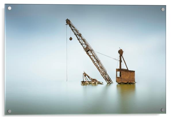Sunken crane Acrylic by Ian Hufton